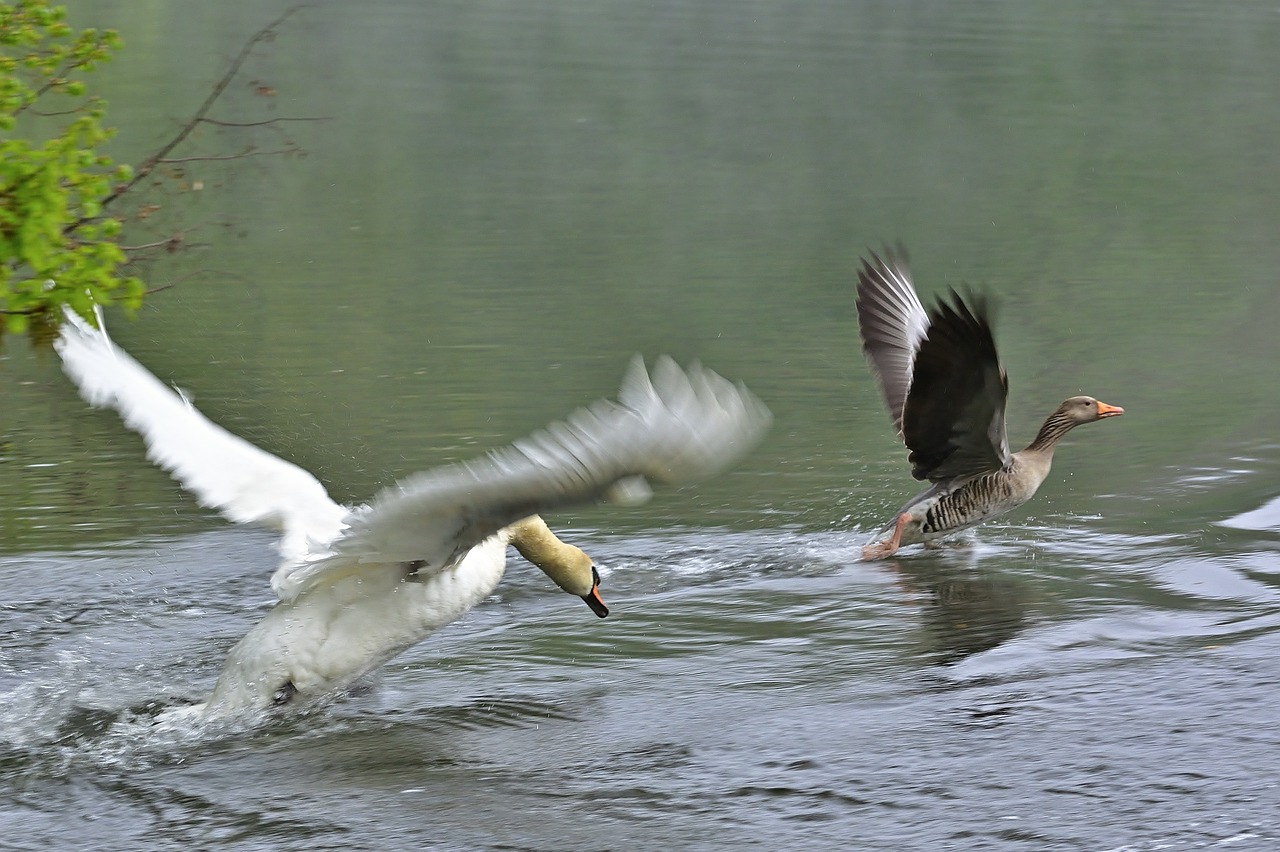 News - Politico : Water war: Why drought in Spain is getting political