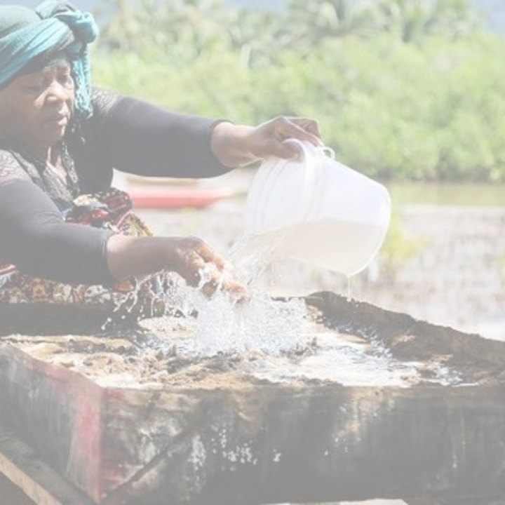 News - Darwin Associates: A state controlled decentralization to quench the thirst of many French territories?